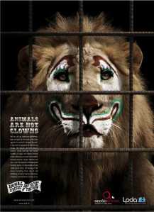 'Animals are not clowns' Released: December 2007 Avertiser: Portuguese Animal Rights League