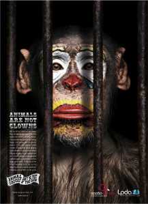 'Animals are not clowns' Released: December 2007 Avertiser: Portuguese Animal Rights League